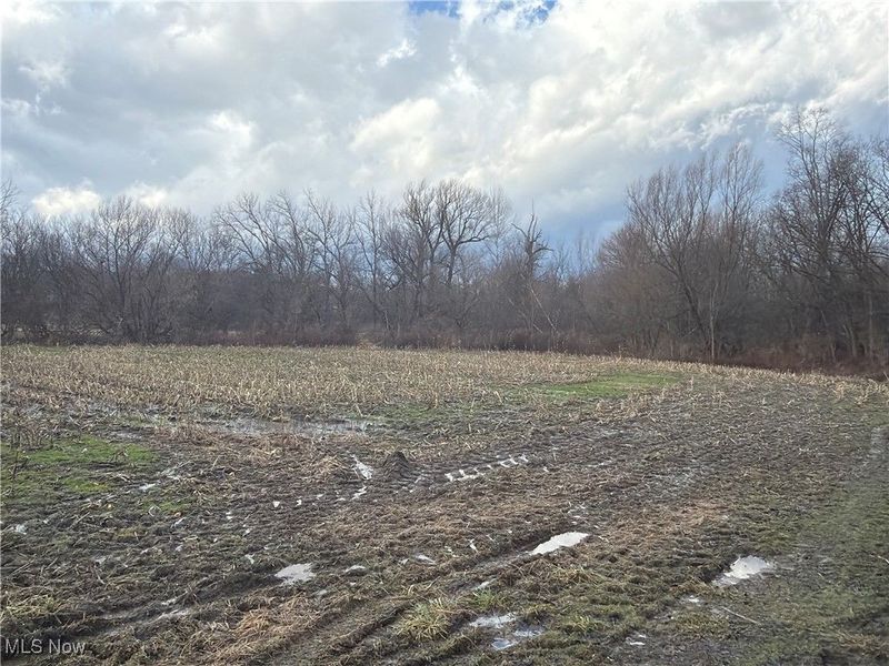 4055 Riverdale Road, Rock Creek, OH 44084 Photo 1