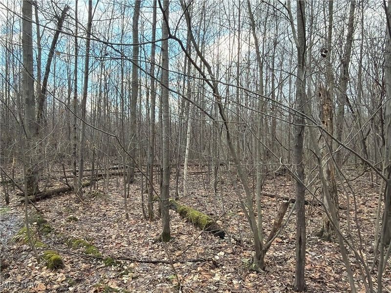 4055 Riverdale Road, Rock Creek, OH 44084 Photo 10