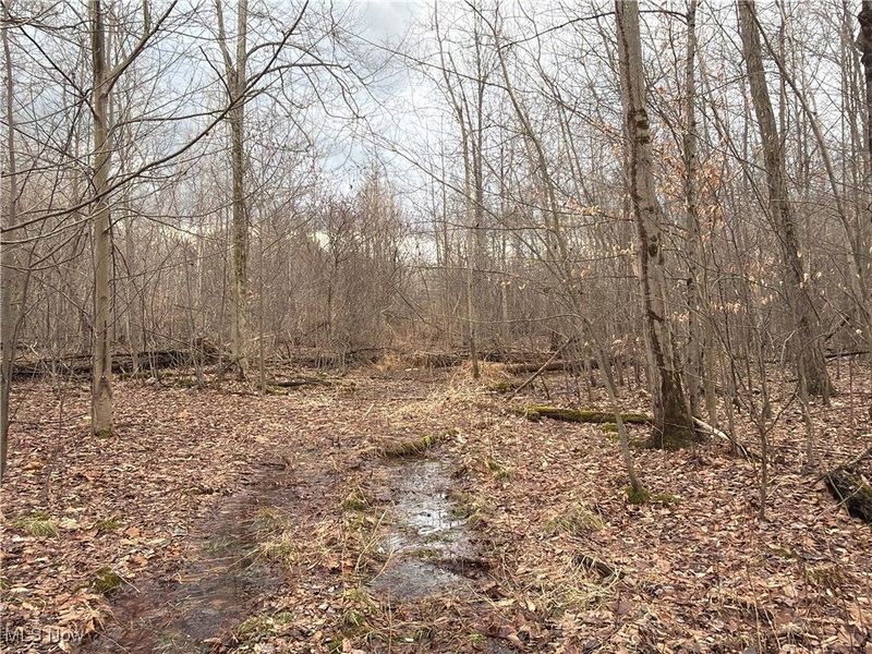 4055 Riverdale Road, Rock Creek, OH 44084 Photo 11