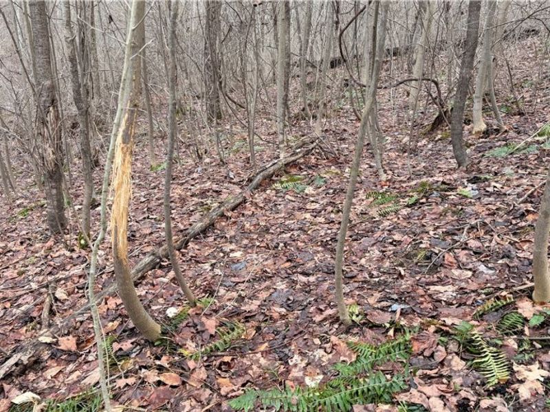 4055 Riverdale Road, Rock Creek, OH 44084 Photo 12