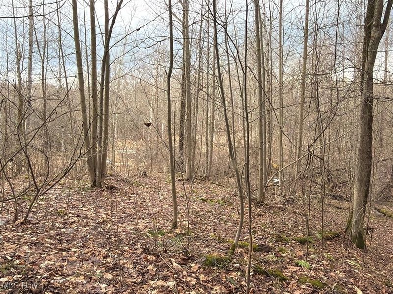 4055 Riverdale Road, Rock Creek, OH 44084 Photo 13