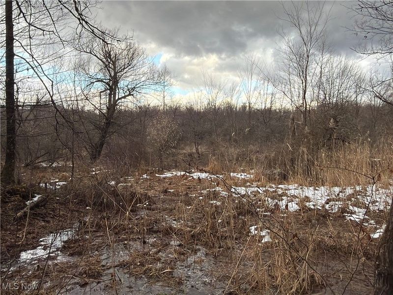 4055 Riverdale Road, Rock Creek, OH 44084 Photo 15