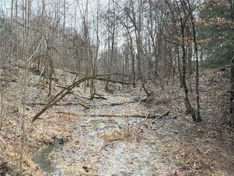 4055 Riverdale Road, Rock Creek, OH 44084 Photo 16