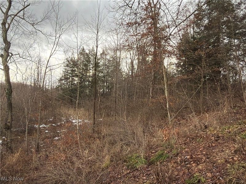 4055 Riverdale Road, Rock Creek, OH 44084 Photo 18