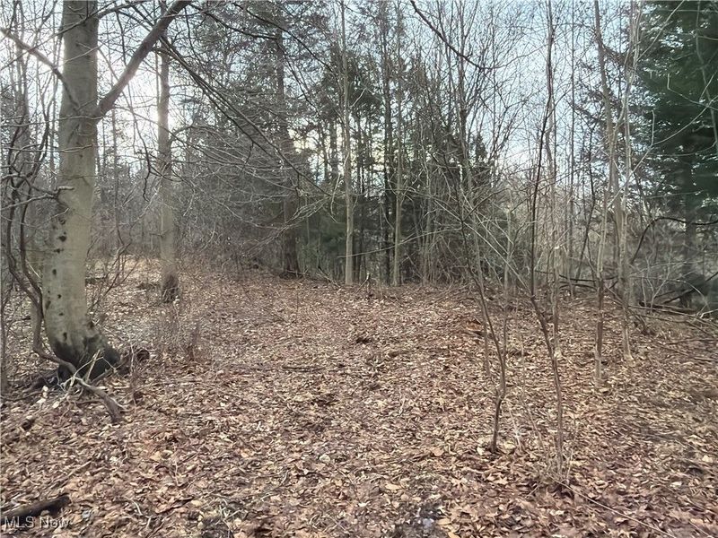 4055 Riverdale Road, Rock Creek, OH 44084 Photo 19