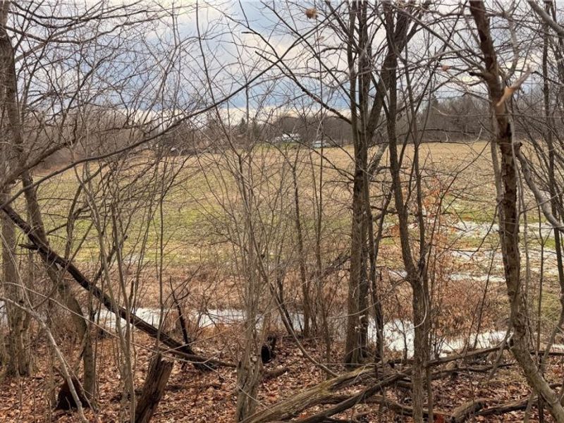 4055 Riverdale Road, Rock Creek, OH 44084 Photo 2