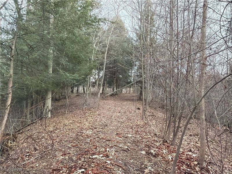 4055 Riverdale Road, Rock Creek, OH 44084 Photo 20