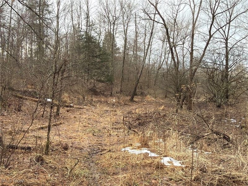 4055 Riverdale Road, Rock Creek, OH 44084 Photo 21