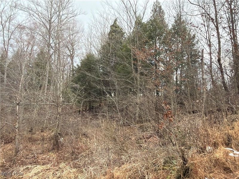 4055 Riverdale Road, Rock Creek, OH 44084 Photo 22