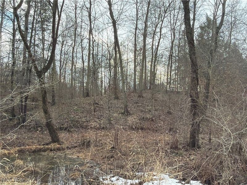 4055 Riverdale Road, Rock Creek, OH 44084 Photo 24