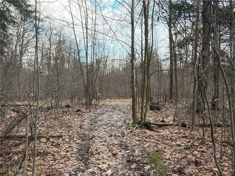 4055 Riverdale Road, Rock Creek, OH 44084 Photo 27