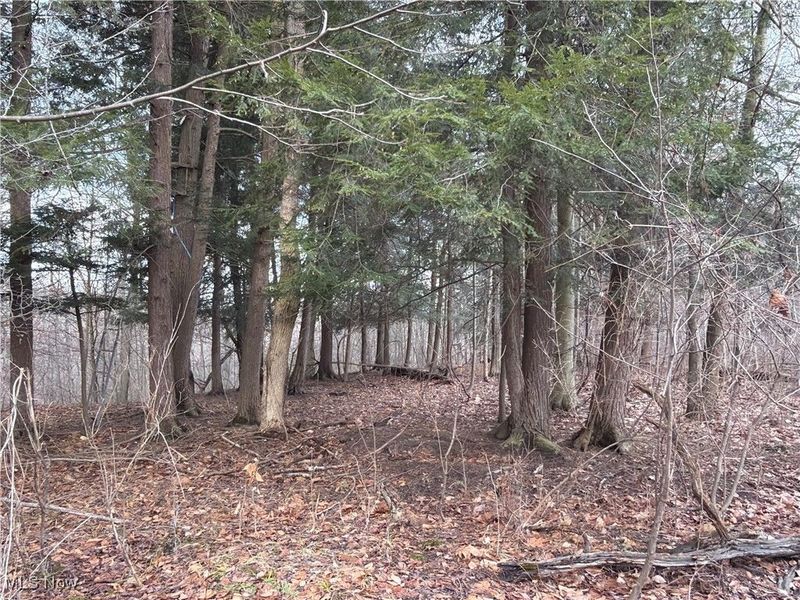 4055 Riverdale Road, Rock Creek, OH 44084 Photo 28