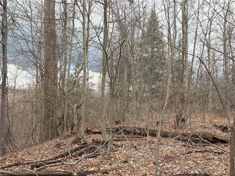 4055 Riverdale Road, Rock Creek, OH 44084 Photo 29