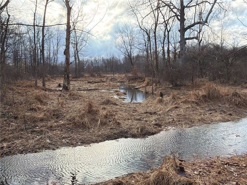 4055 Riverdale Road, Rock Creek, OH 44084 Photo 3