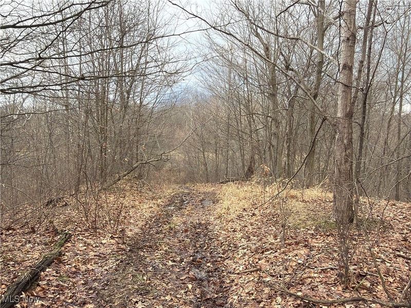 4055 Riverdale Road, Rock Creek, OH 44084 Photo 31