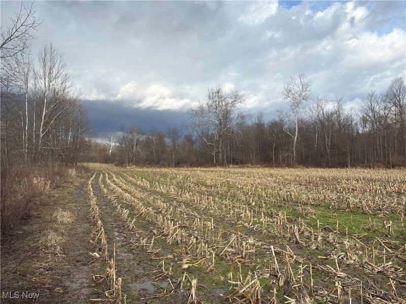 4055 Riverdale Road, Rock Creek, OH 44084 Photo 32