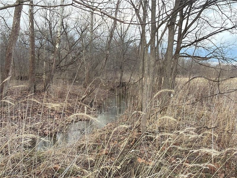 4055 Riverdale Road, Rock Creek, OH 44084 Photo 35