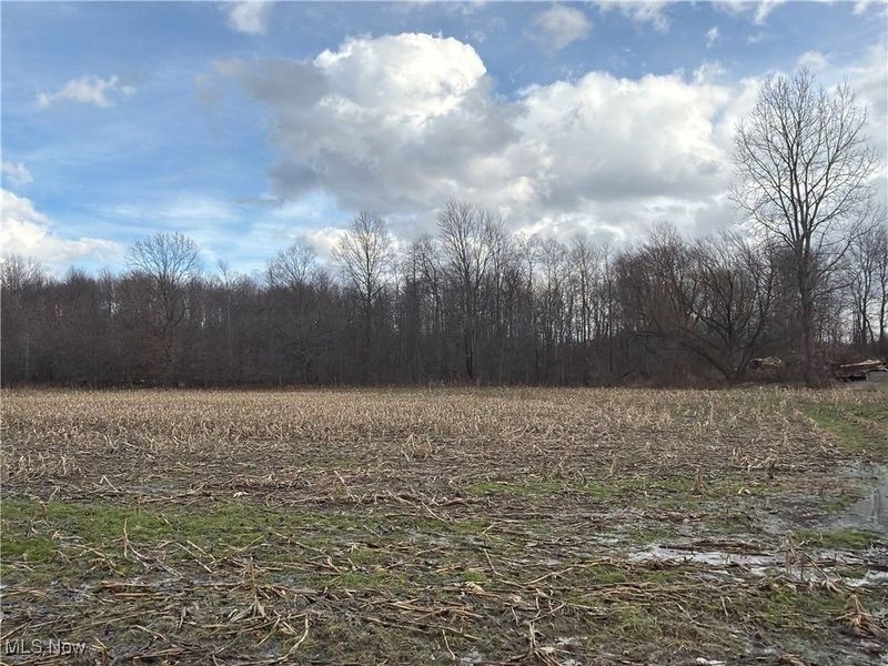 4055 Riverdale Road, Rock Creek, OH 44084 Photo 36