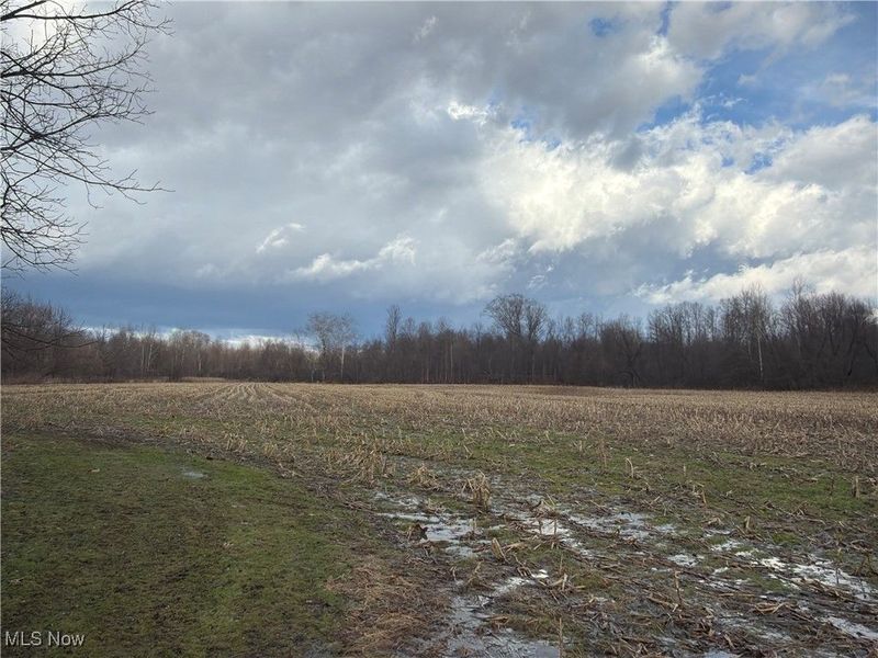 4055 Riverdale Road, Rock Creek, OH 44084 Photo 37