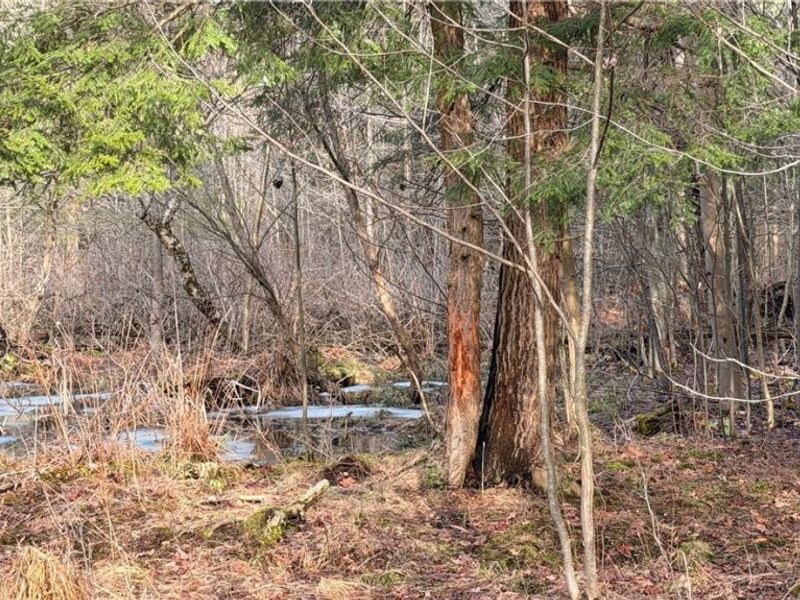 4055 Riverdale Road, Rock Creek, OH 44084 Photo 4