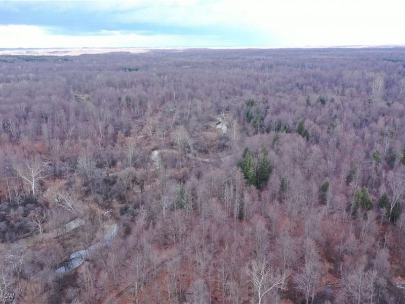 4055 Riverdale Road, Rock Creek, OH 44084 Photo 41