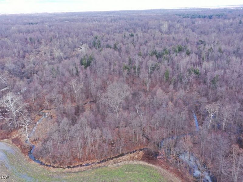 4055 Riverdale Road, Rock Creek, OH 44084 Photo 43