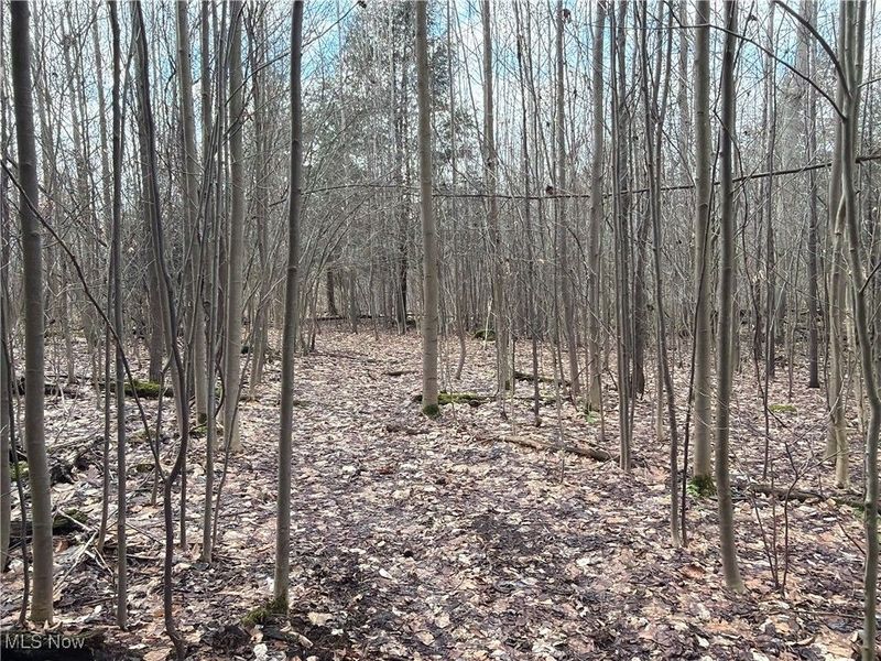 4055 Riverdale Road, Rock Creek, OH 44084 Photo 5