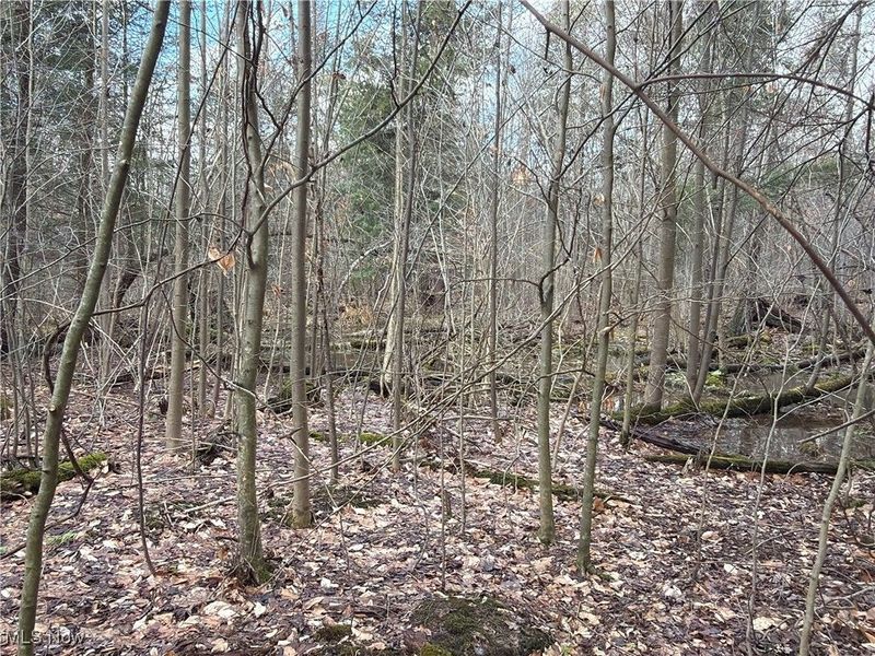 4055 Riverdale Road, Rock Creek, OH 44084 Photo 6