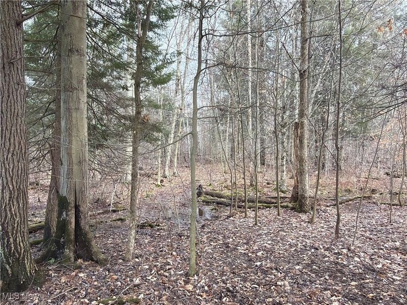 4055 Riverdale Road, Rock Creek, OH 44084 Photo 7