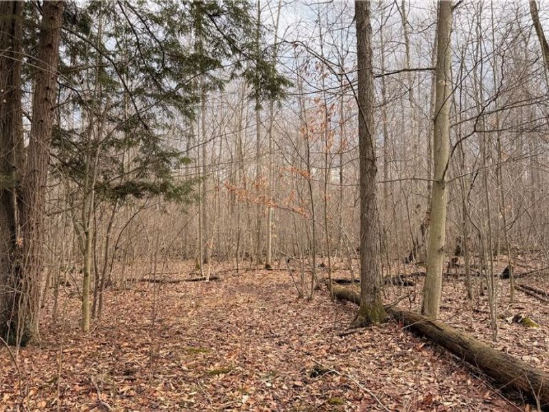 4055 Riverdale Road, Rock Creek, OH 44084 Photo 8