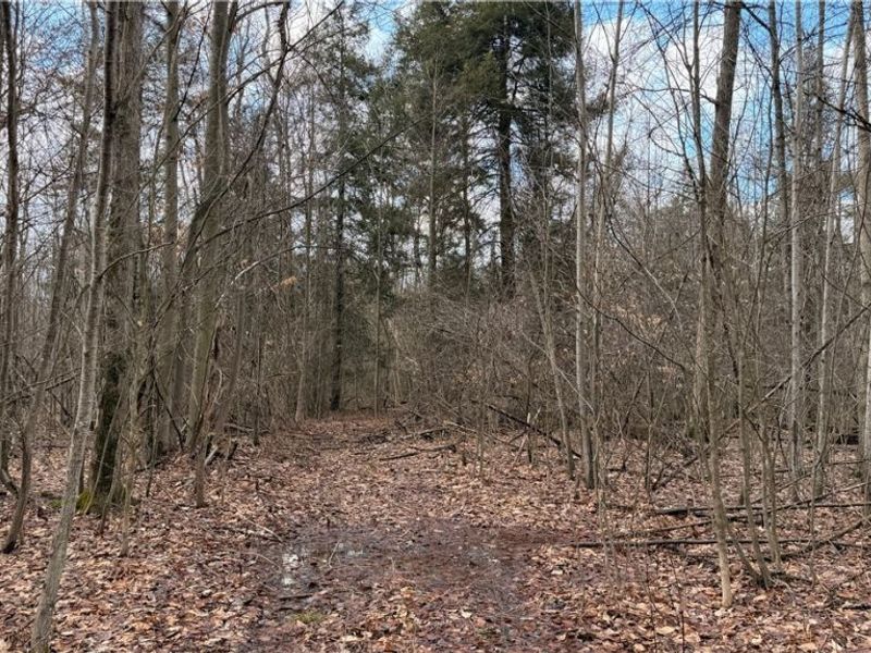 4055 Riverdale Road, Rock Creek, OH 44084 Photo 9