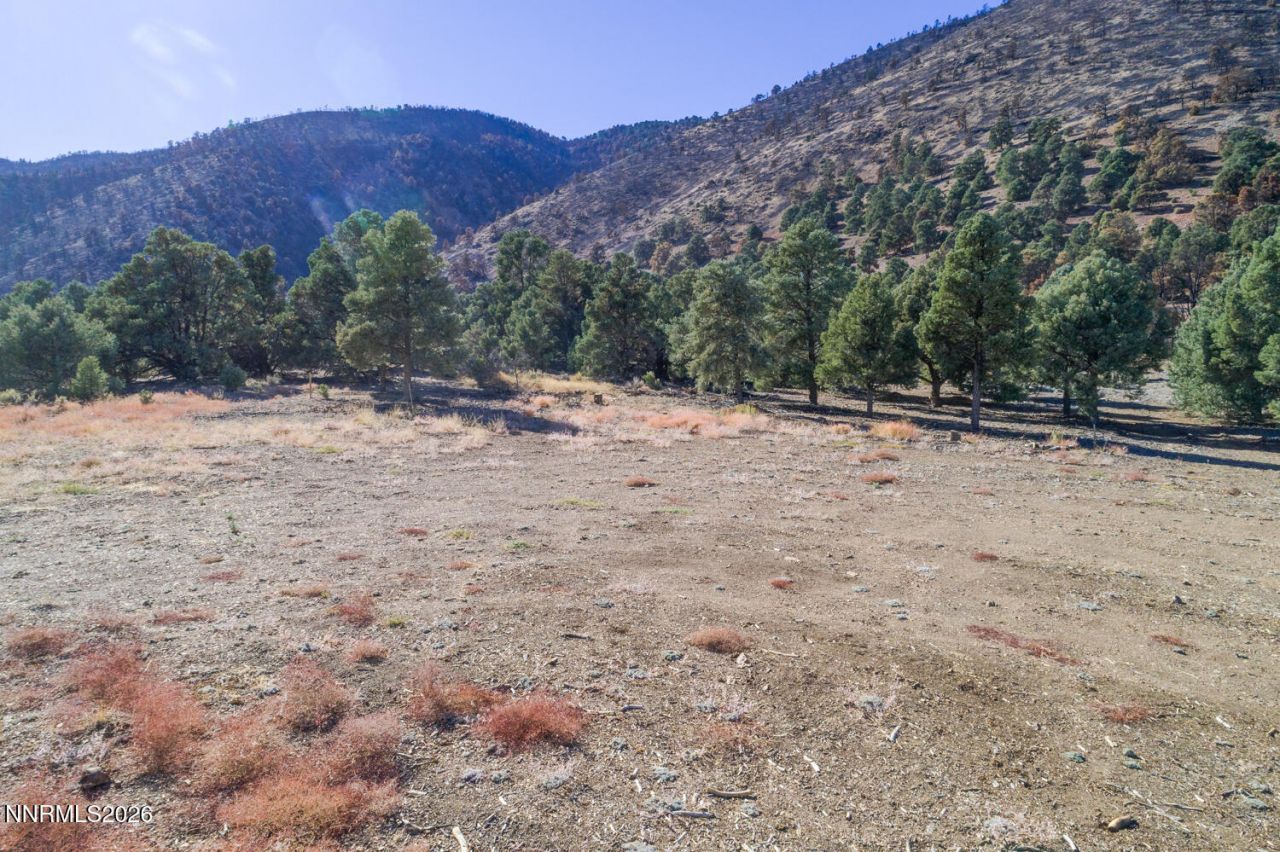 1518 Alba Vista, Gardnerville, NV 89410 Photo