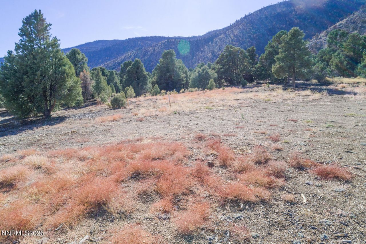 1518 Alba Vista, Gardnerville, NV 89410 Photo