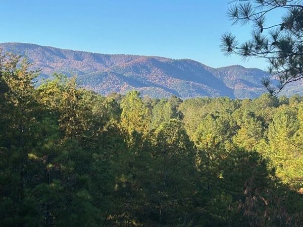 302 Chanceytown Road, Copperhill, TN 37317