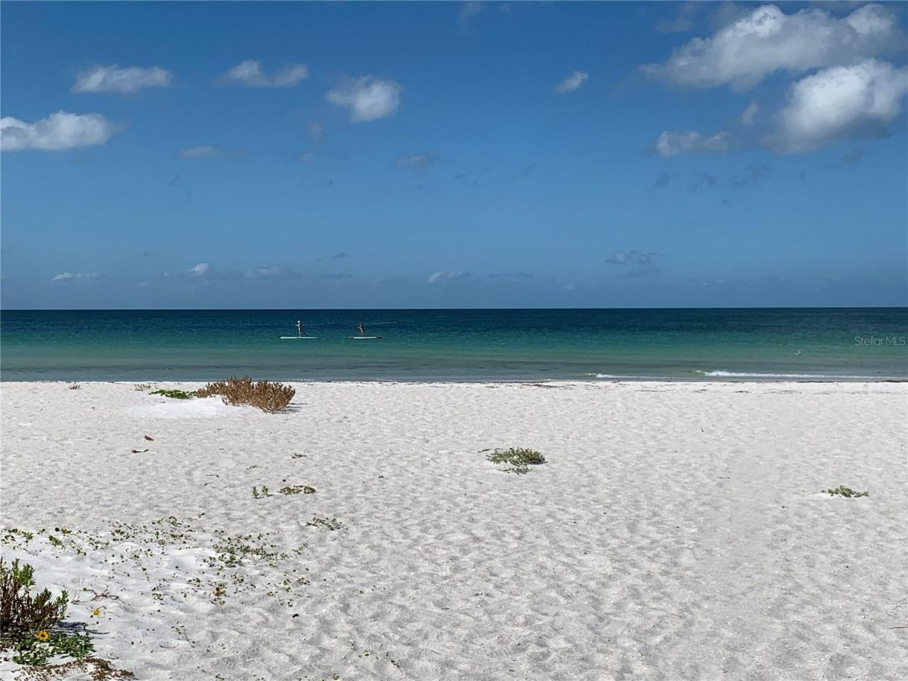 7910 Sun Island Drive S, Unit 203, South Pasadena, FL 33707 Photo