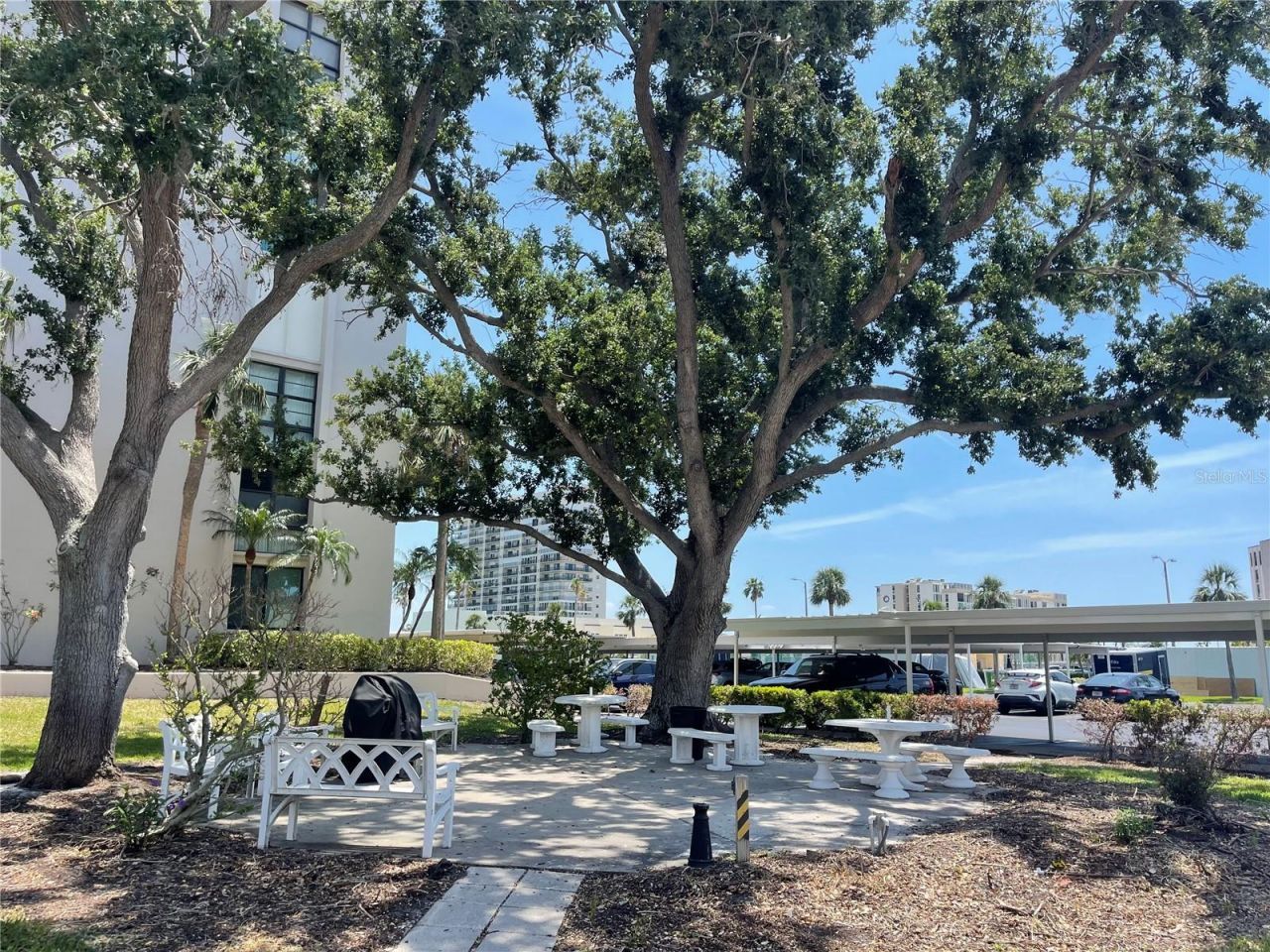 7910 Sun Island Drive S, Unit 203, South Pasadena, FL 33707 Photo