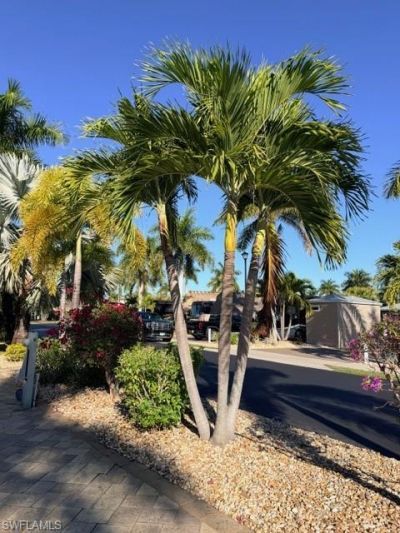 5200 Marsh Mallow Trl, Fort Myers, FL 33905 Photo