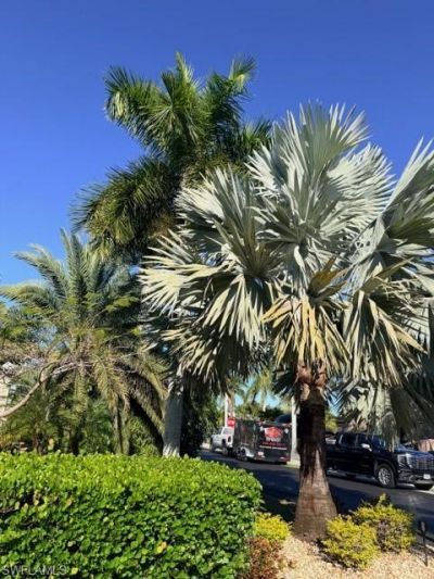 5200 Marsh Mallow Trl, Fort Myers, FL 33905 Photo
