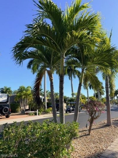 5200 Marsh Mallow Trl, Fort Myers, FL 33905 Photo