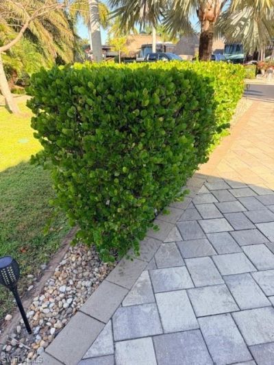5200 Marsh Mallow Trl, Fort Myers, FL 33905 Photo