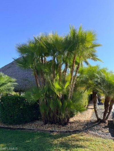 5200 Marsh Mallow Trl, Fort Myers, FL 33905 Photo