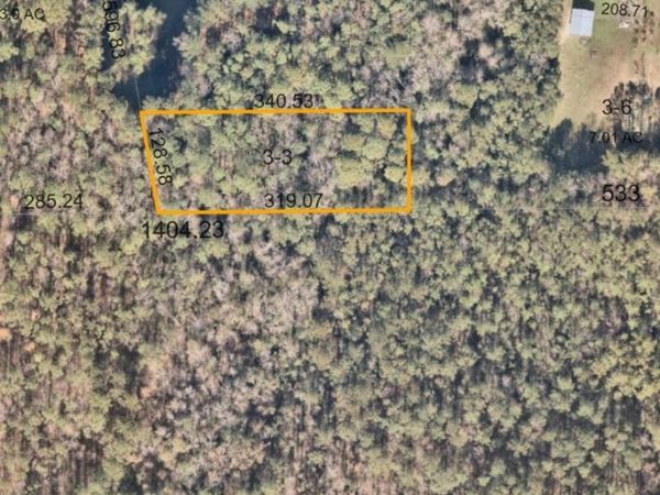 0 Trigg Road, Hilliard, FL 32046