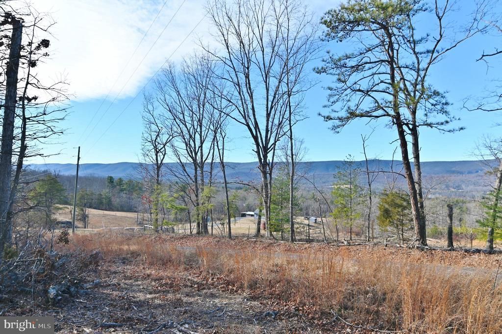 Jerome Road, Edinburg, VA 22824 Main Photo