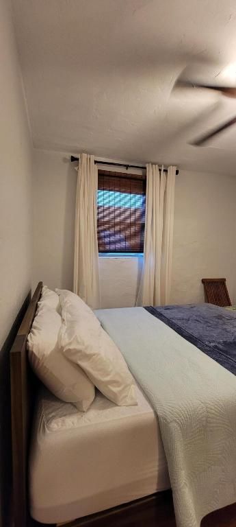 717 Macy Street, West Palm Beach, FL 33405 Photo