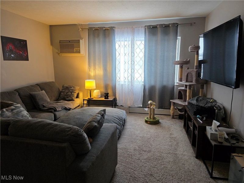 5200 Royalton Road, Unit 10C, North Royalton, OH 44133 Photo 11