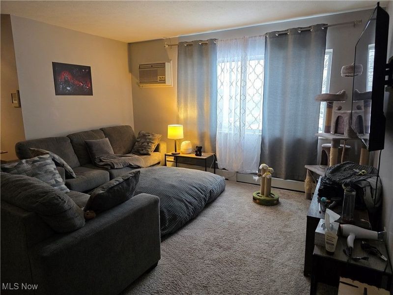 5200 Royalton Road, Unit 10C, North Royalton, OH 44133 Photo 9