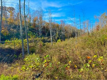 9108 S 501, Liberty, KY 42539