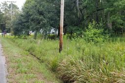 0 Jacksonboro Road photo 4