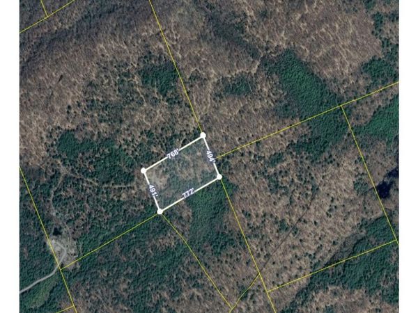 L24.2 Antioch Road, Providence, NY 12850