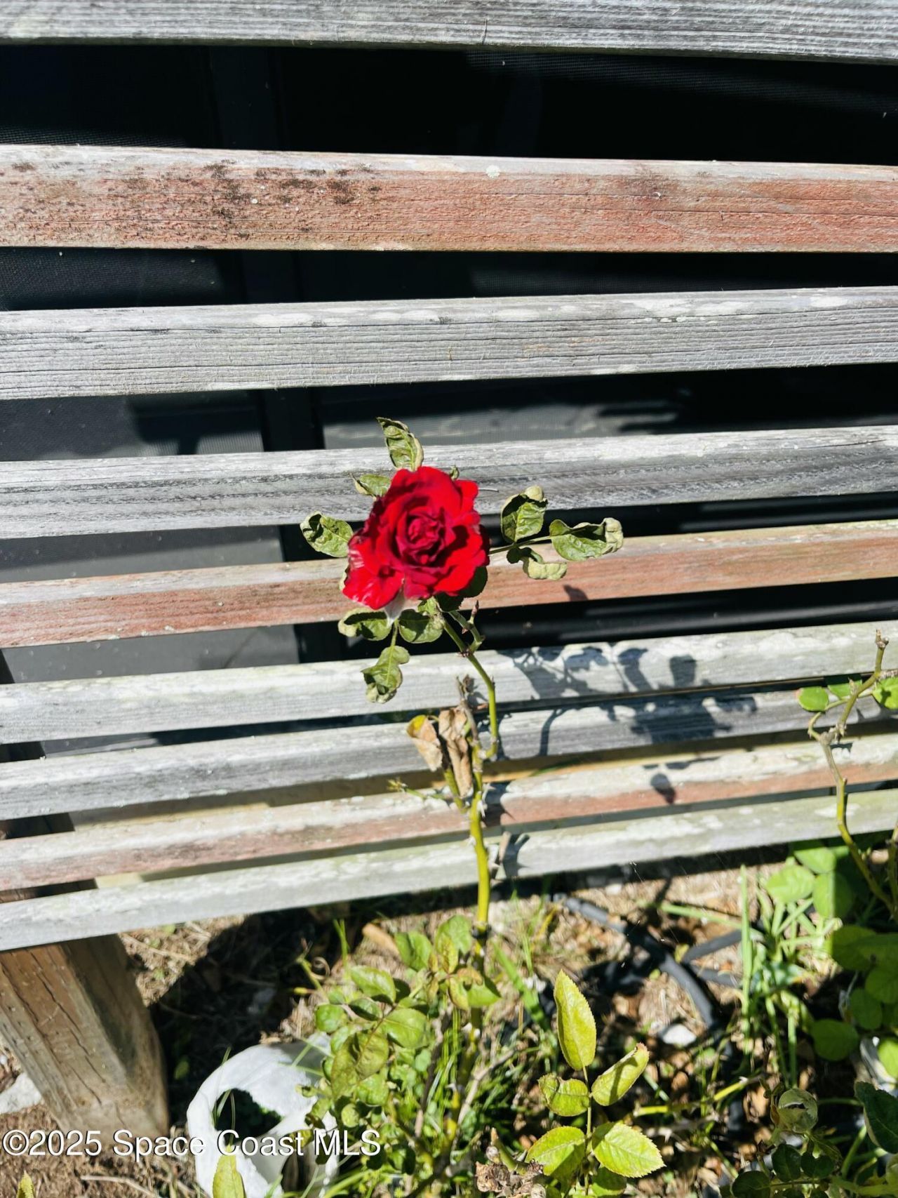 6230 Balsam Street, Cocoa, FL 32927 Photo